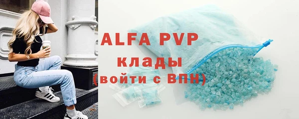 амф Гусиноозёрск