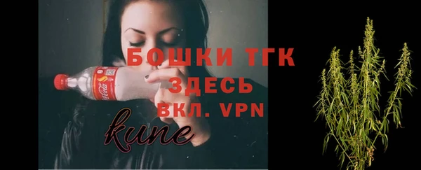 амф Гусиноозёрск