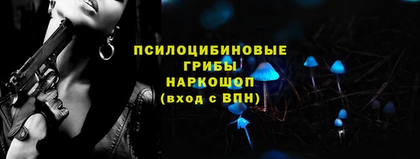 амф Гусиноозёрск