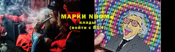 амф Гусиноозёрск