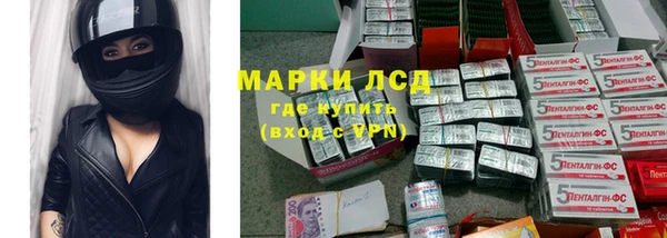 амф Гусиноозёрск