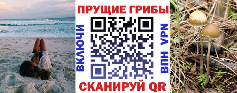 Галлюциногенные грибы Magic Shrooms  даркнет состав  Кашира  закладки 